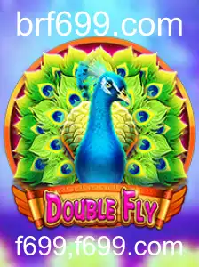 Descubra o Mundo de DoubleFly: Um Jogo de Estratégia e Diversão